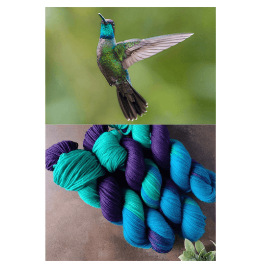 Magnificent Hummingbird