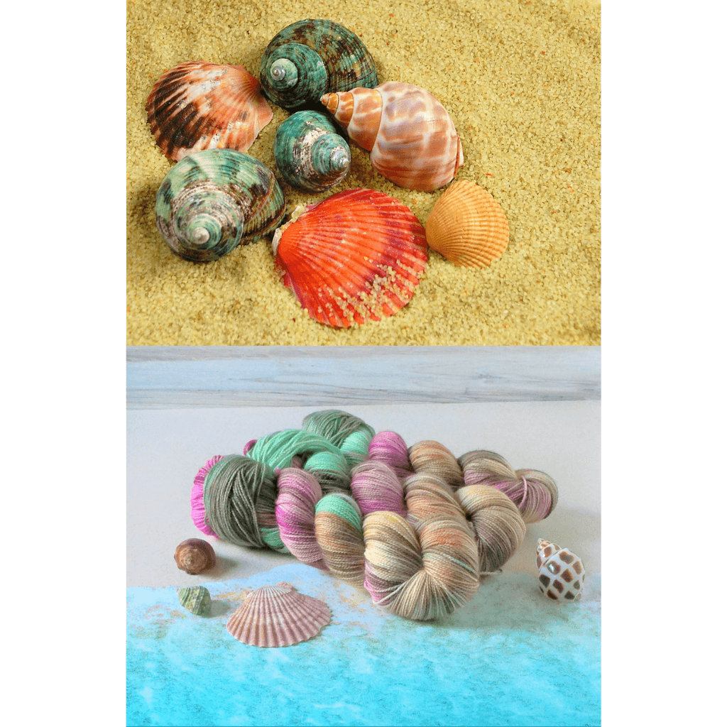 Seashells (Life's a Beach Collection)